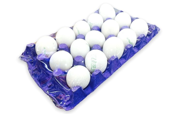 طبق بيض ×15